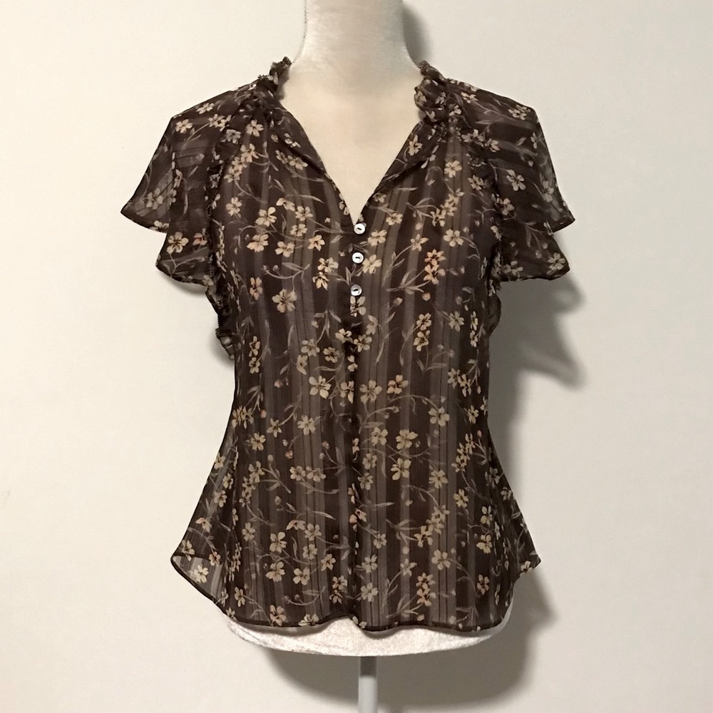 Sheer Blouse